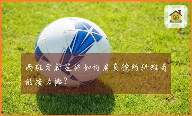 西班牙新星将如何肩负德约科维奇的接力棒？