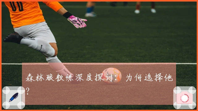 森林狼教练深度探讨：为何选择他？