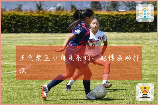 王刚禁区小角度射门，赵博成功扑救