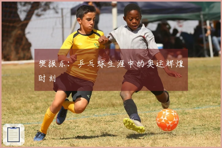 樊振东：乒乓球生涯中的奥运辉煌时刻